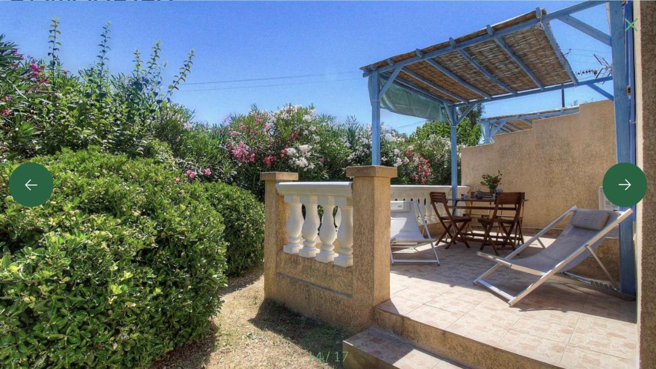 L'Amandier -Le Figuier-Les Lauriers Roses Ajaccio  Eksteriør bilde
