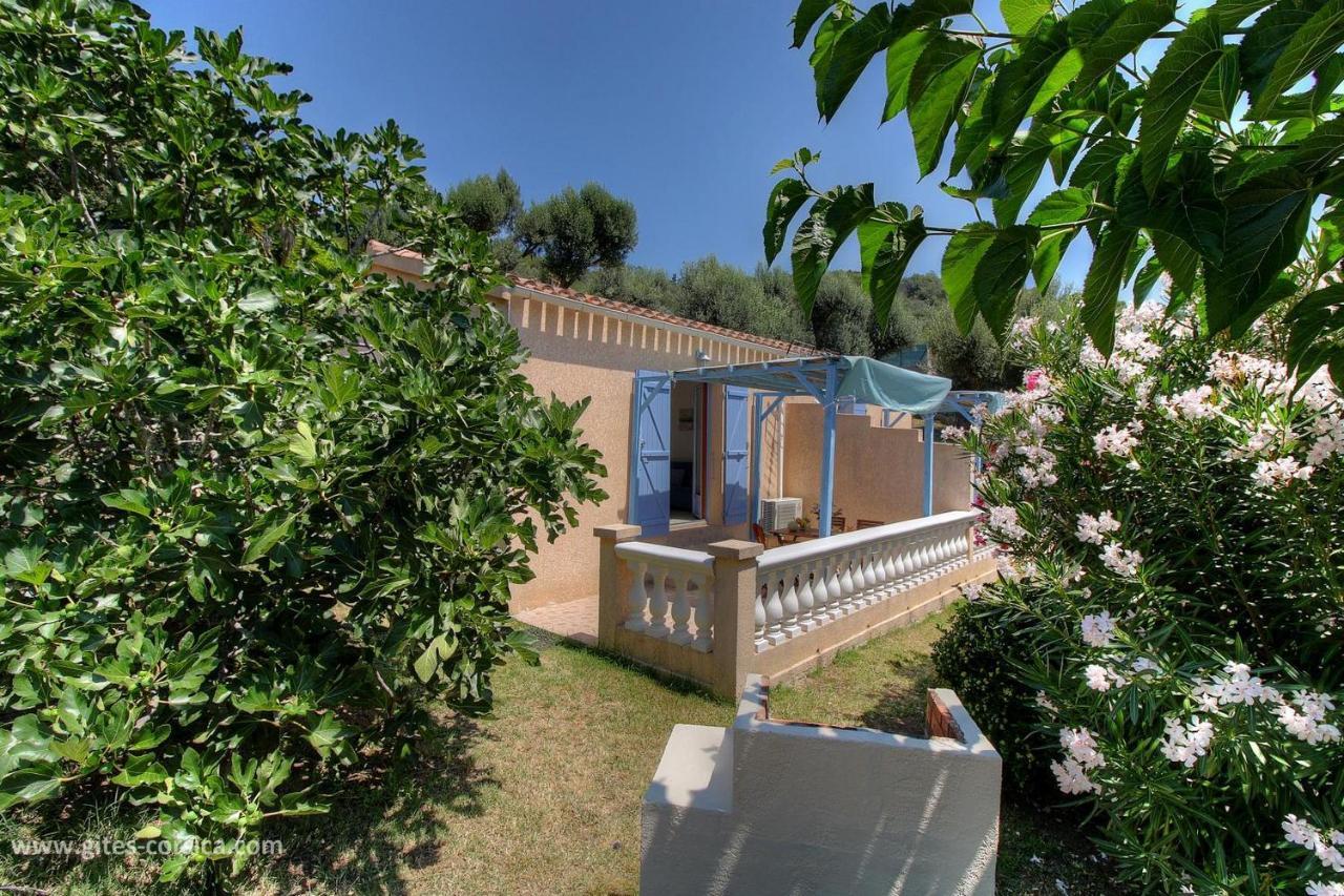 L'Amandier -Le Figuier-Les Lauriers Roses Ajaccio  Eksteriør bilde