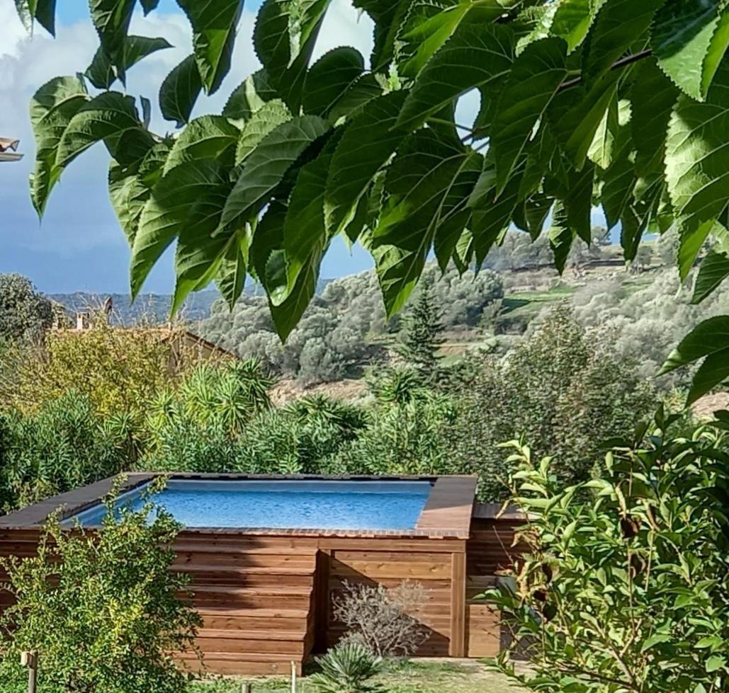 L'Amandier -Le Figuier-Les Lauriers Roses Ajaccio  Eksteriør bilde
